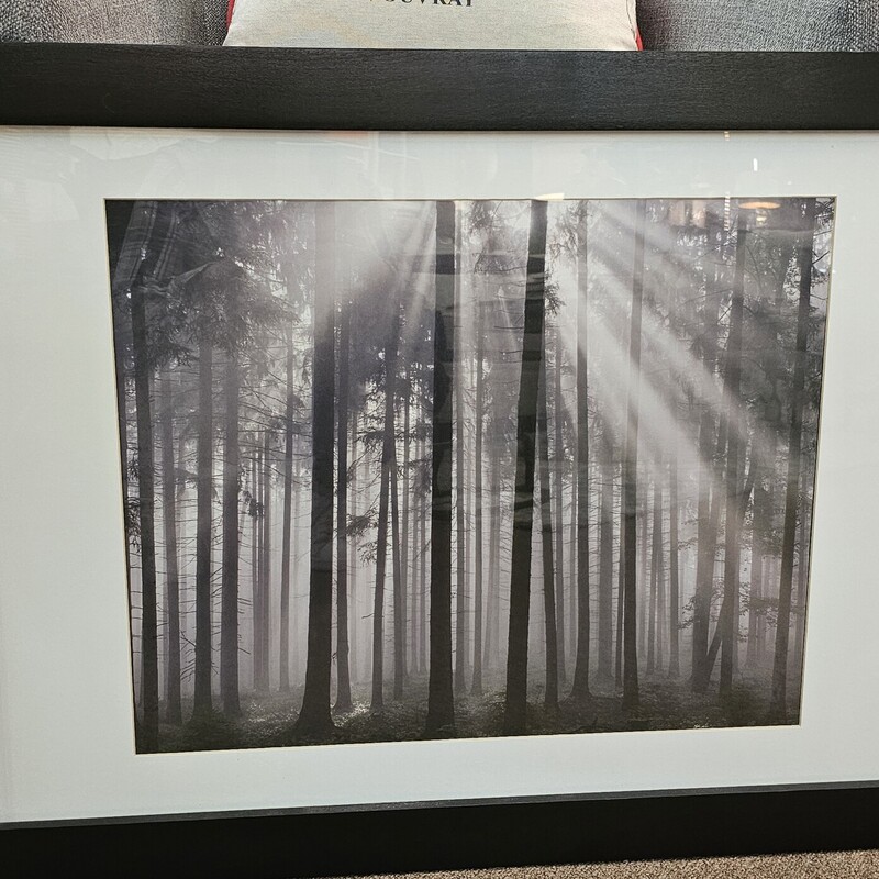 Forest With Peeking Sun Print
Black White Gray
Size: 30.75 x 23H