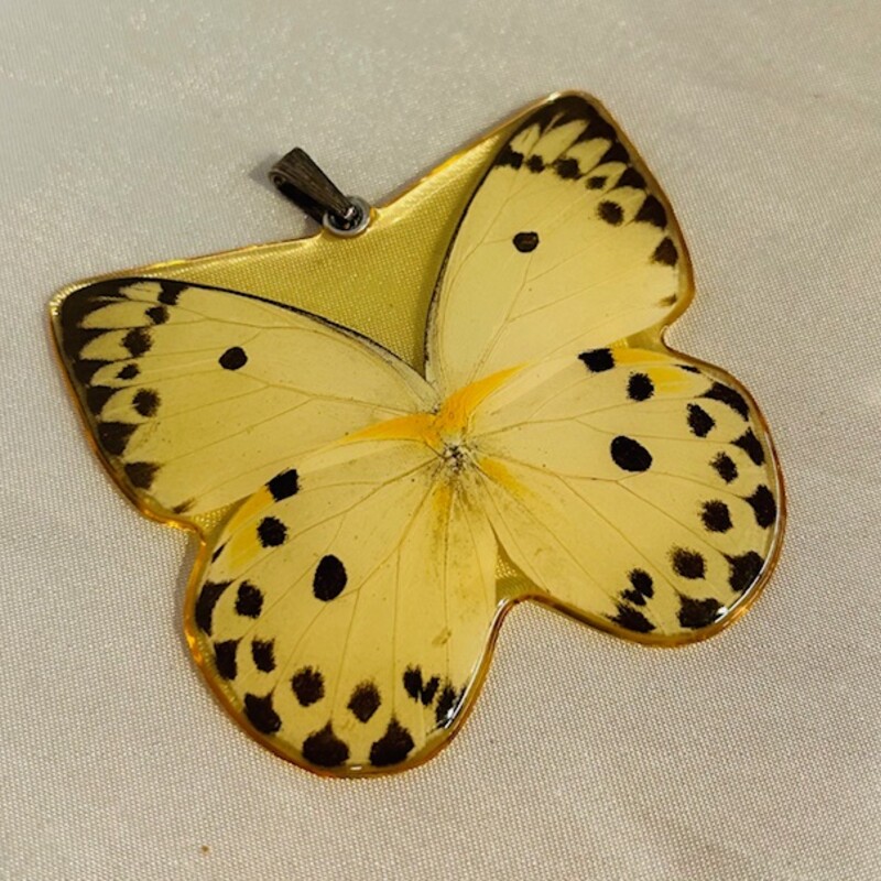 Authentic Butterfly Wings Pendant
Cream Yellow Brown Size: 3 x 3H