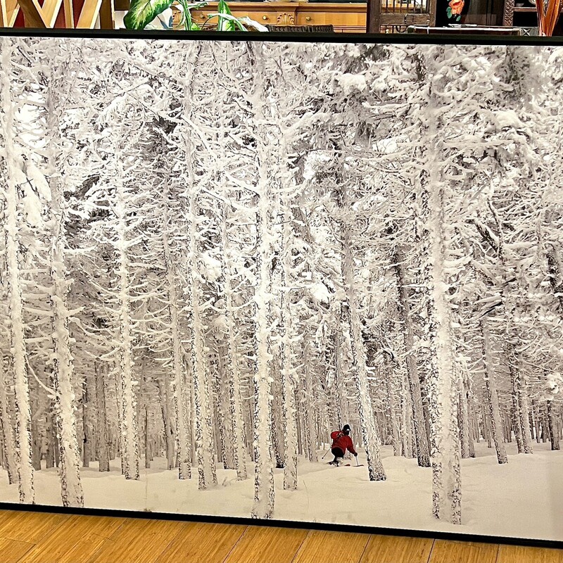 XL Canvas Print Skiing,
Size: 62x42