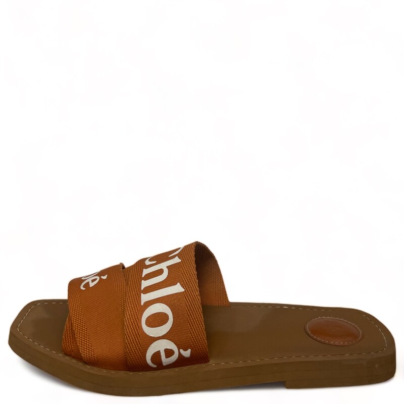 Chloe Arizona Brown Sandal

Size 41

Inspired by lacy pieces in the ready-to-wear collection, this chic slide features delicate woven bands printed with bold logo letters.

Chloe sandals with layered logo ribbon upper.
0.3 flat heel.
Open toe.
Slide-on style.
Leather footbed.
Rubber outsole.