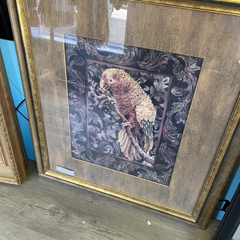 Parrot Framed