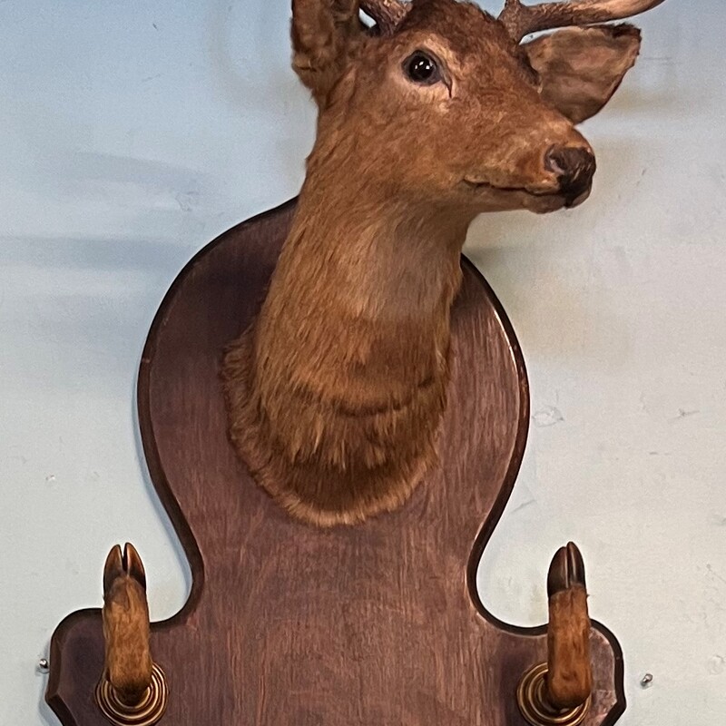 Vintage Deer Coat Rack
