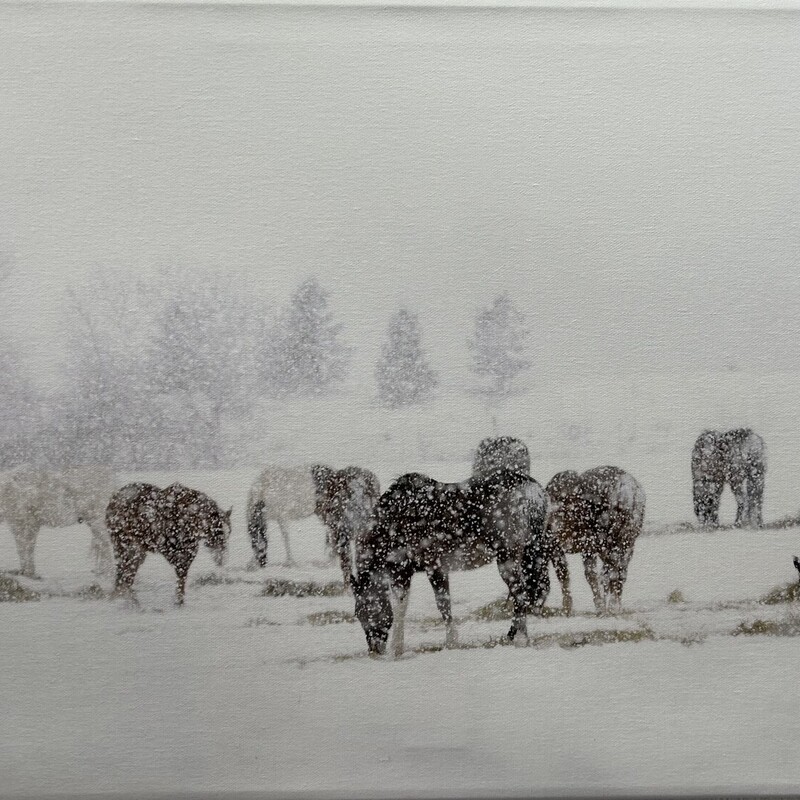 Carol Polich, living in Bozeman, Montana, has been photgraphing and publishing her nature and travel stories for over 30 years.\"Snowy Horses\" was deliberately photographed because of large snowflakes. An impressionistic scene presented itself. Archival Lustre Canvas, Size: 16x30