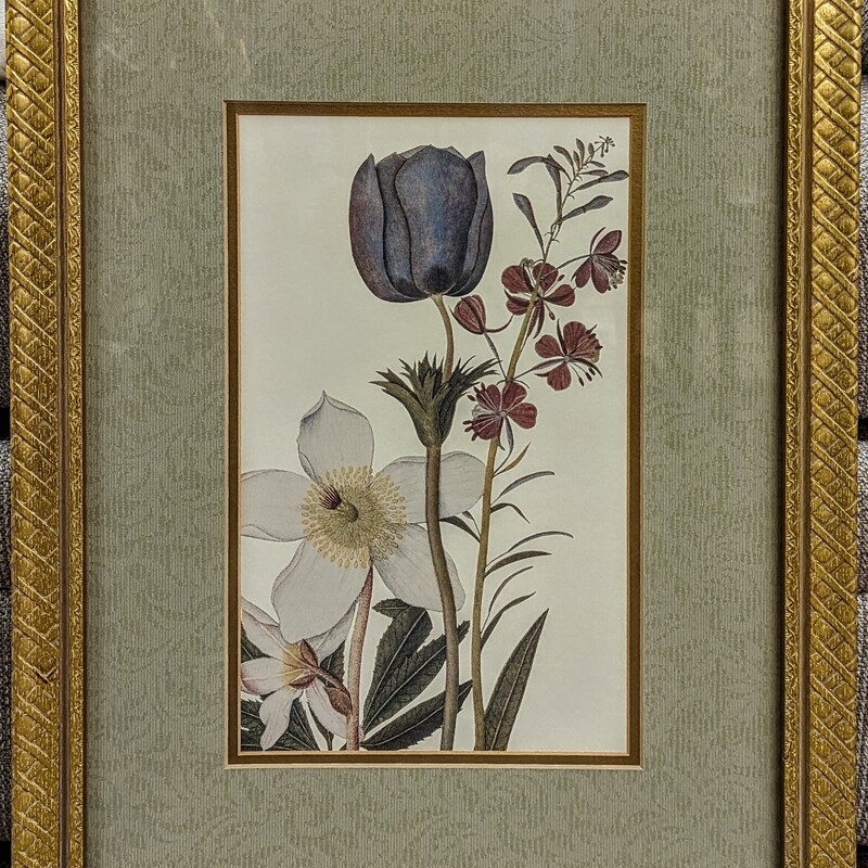 Floral Ornate Matte Print