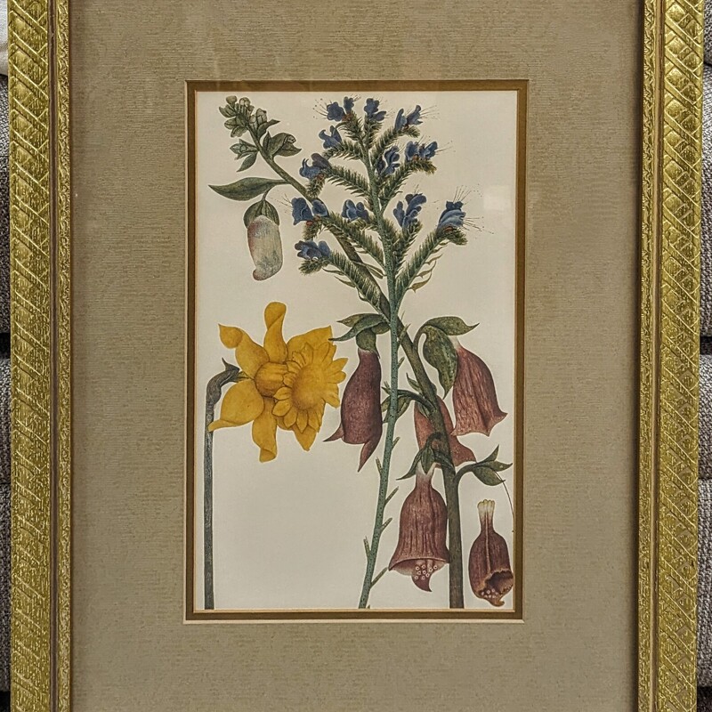 Floral Ornate Matte Print