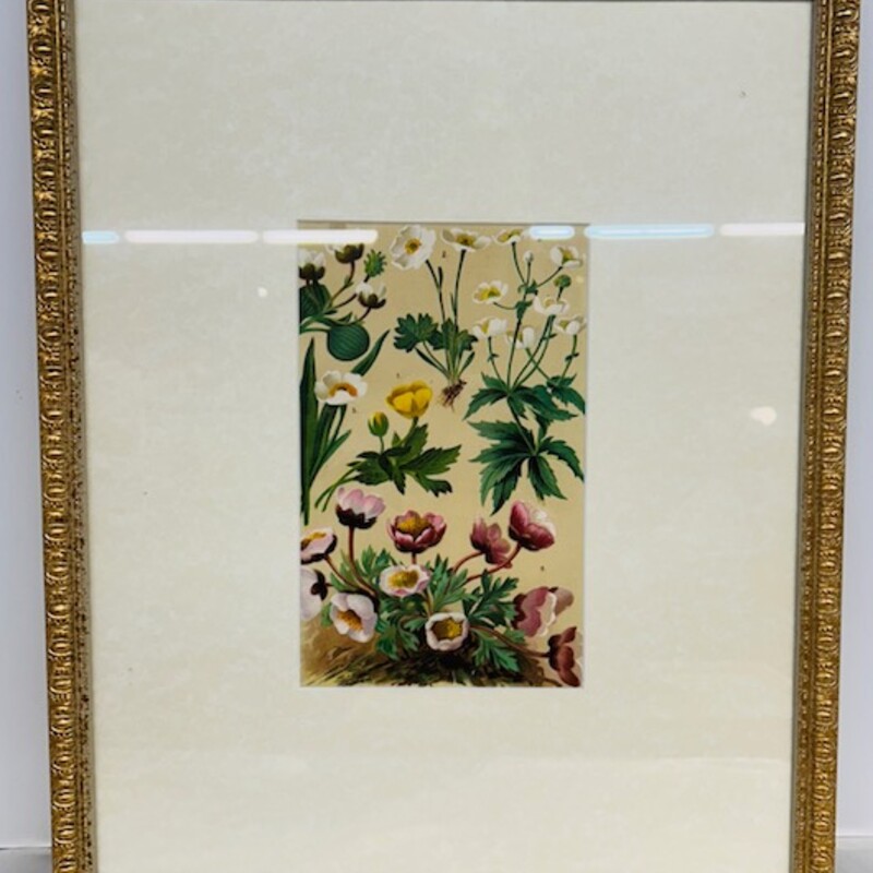 Matte Botanical Print I
Gold, Purple, Yellow and Green
Size: 12.5x15.5H