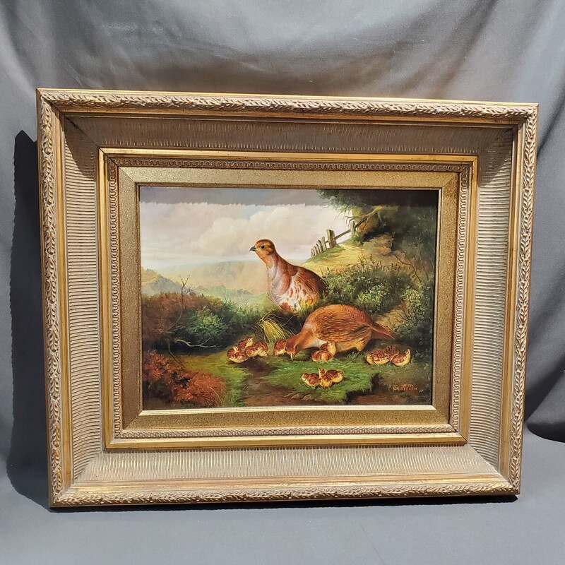 Pheasant Framed Art
