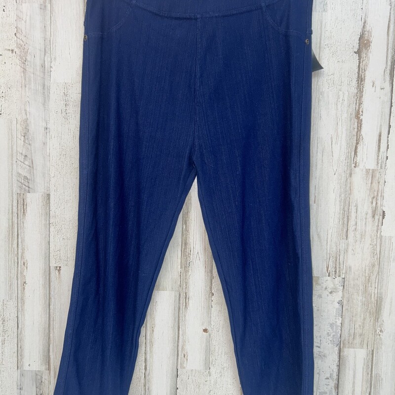 2X Blue Pull On Jeggings