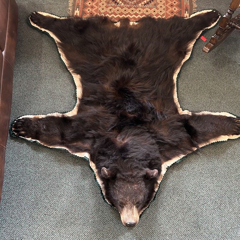 Black Bear Taxidermy Rug, Black, Size: 5x5