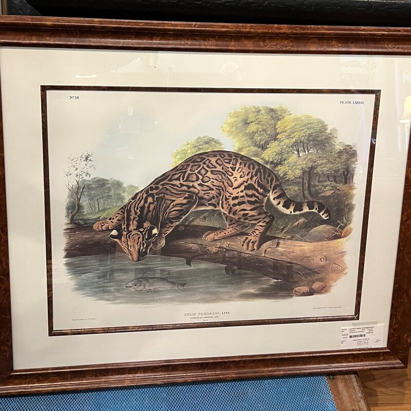 Leopard By Audubon, Print, Framed
37in x 31in
