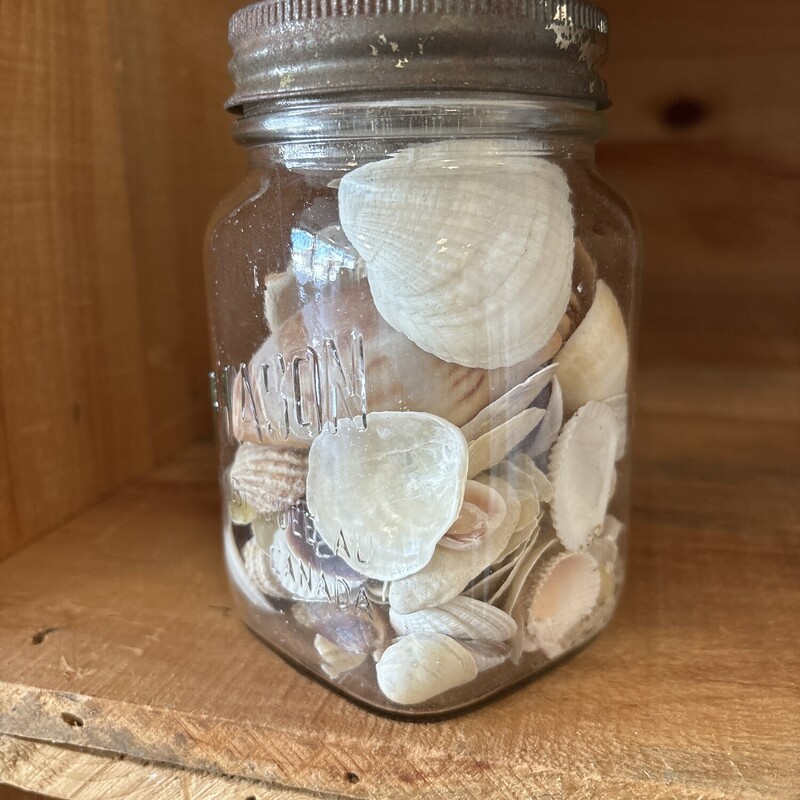 Seashell Mason Jar<br />
Clear & Natural
