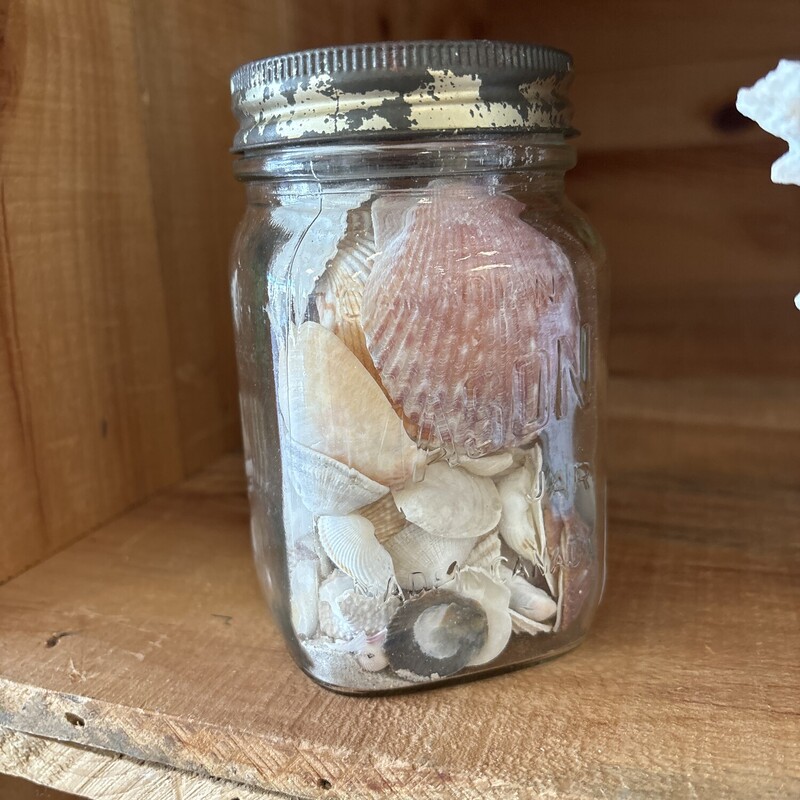 Seashell Mason Jar
Clear & Natural