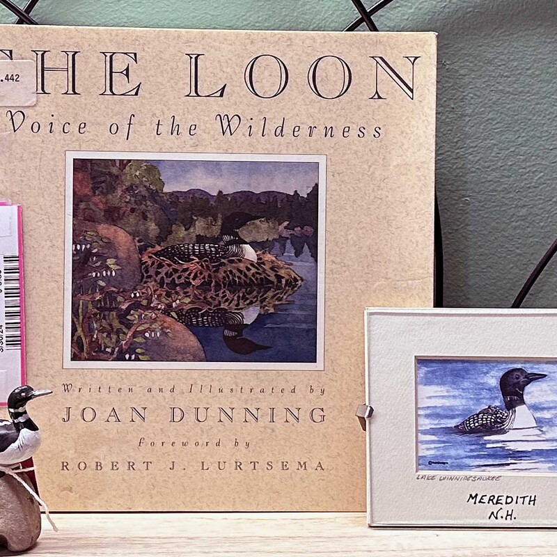 Loon Book