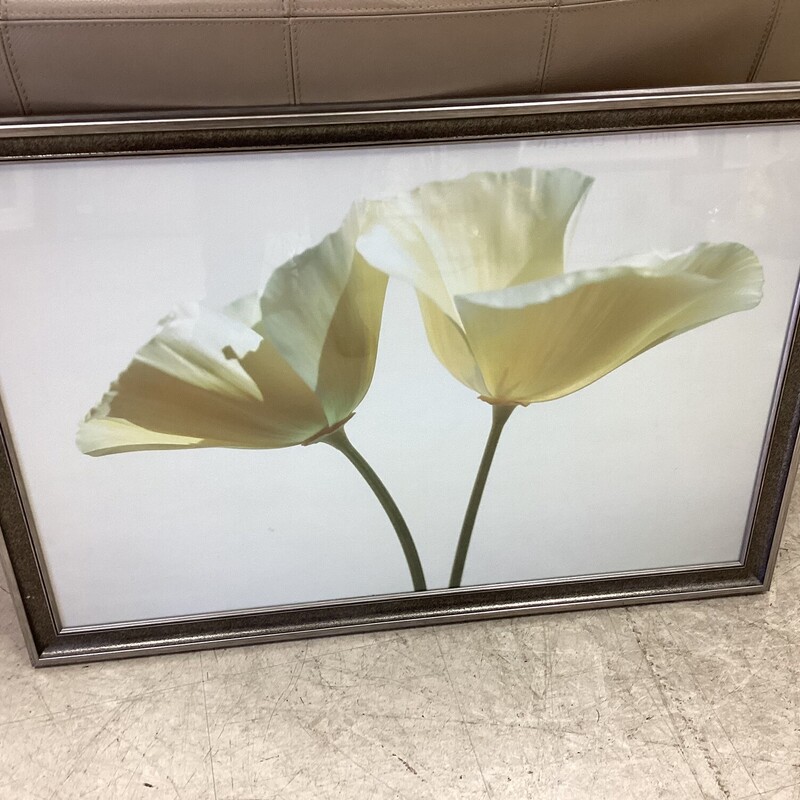 Two Yellow Flowers, Gray, White
39in wide x 27in tall