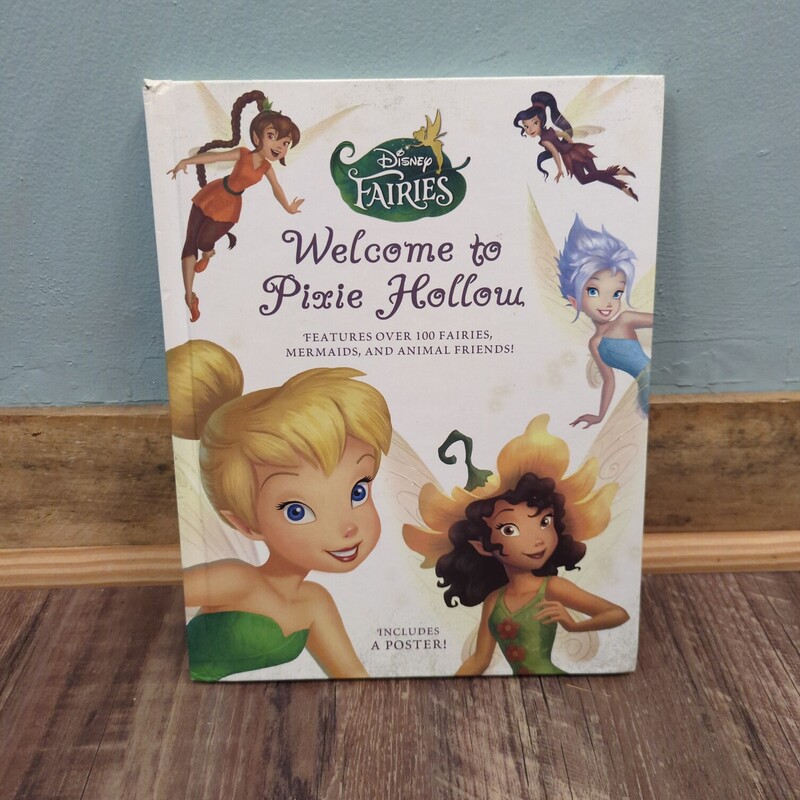 Welcome To Pixie Hollow, White, Size: Book