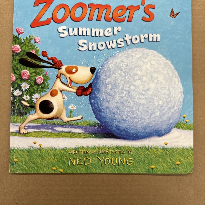 Zoomers Summer
