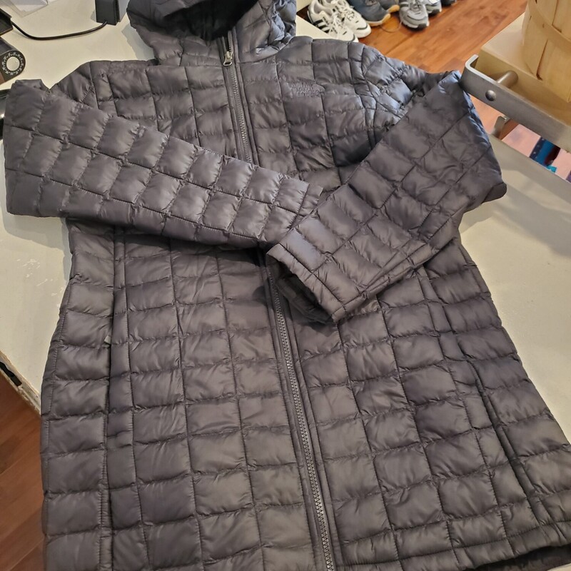 *North Face Quilited Coat