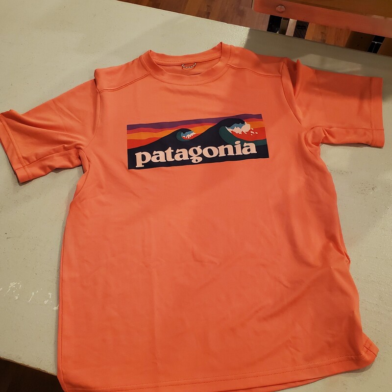 *Patagonia Top