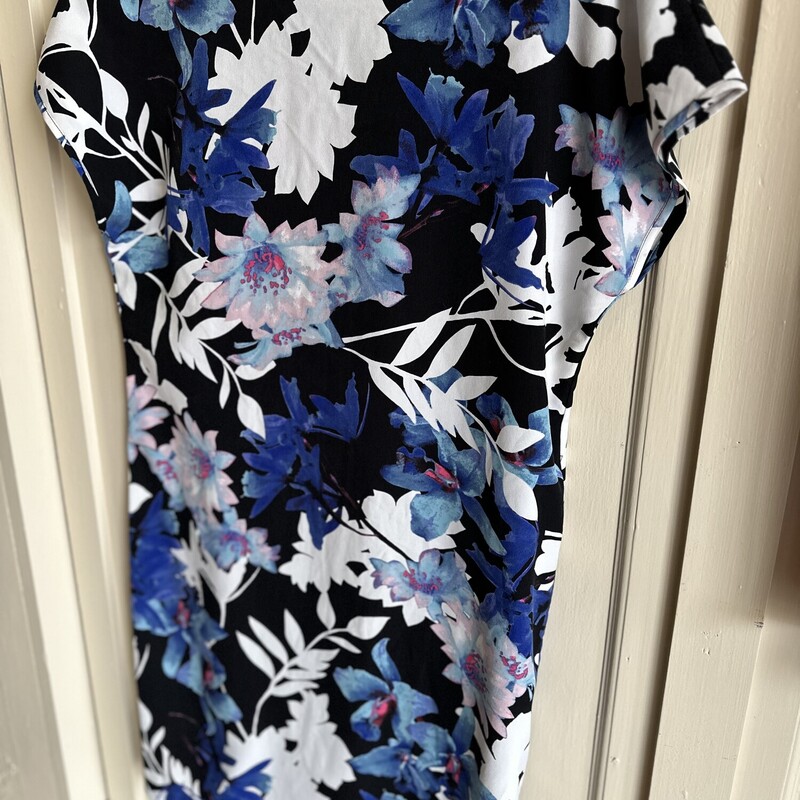 KUT From The Kloth DressNEW, BluFlor, Size: 6
New with thags Original Price $94.00
Our Price $57.99

All Sales Are Final
No Returns
Have It Shipped or Pick Up In Store Within 7 Days of Purchase