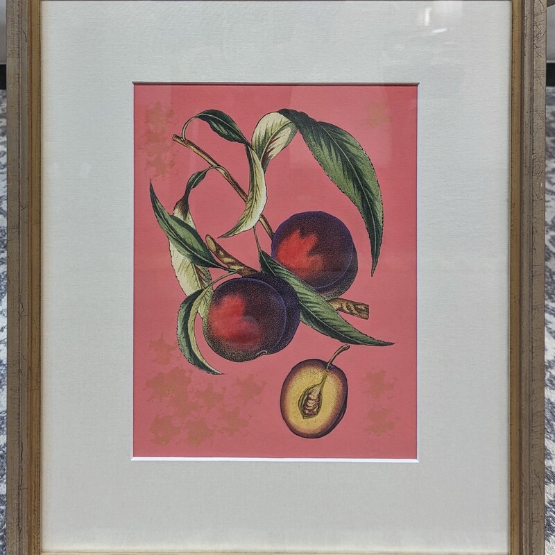 Plums On Coral Print
Red Salmon Green in Gold Silver Frame
Size: 18x21H
Coordinating Prints Sold Separately
Retail $249