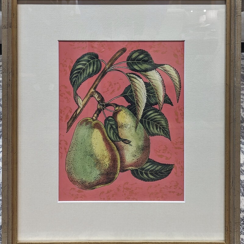 Pears On Coral Print
Red Salmon Green in Gold Silver Frame
Size: 18x21H
Coordinating Prints Sold Separately
Retail $249