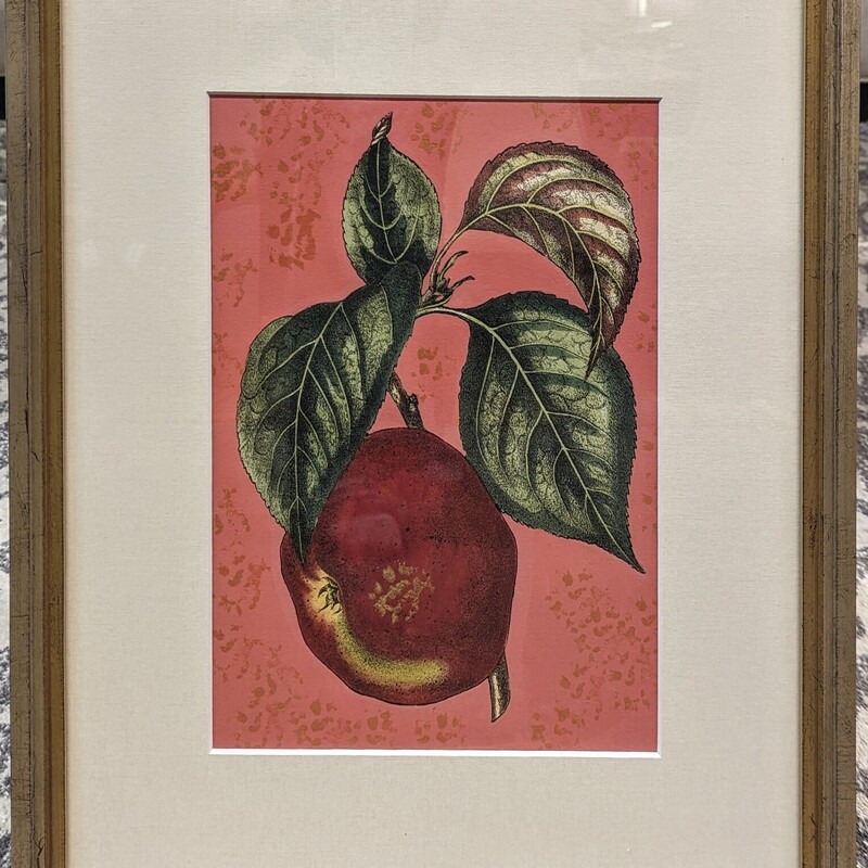 Apple On Coral Print,
Red Salmon Green in Gold Silver Frame
Size: 18x21H
Coordinating Prints Sold Separately
Retail $249