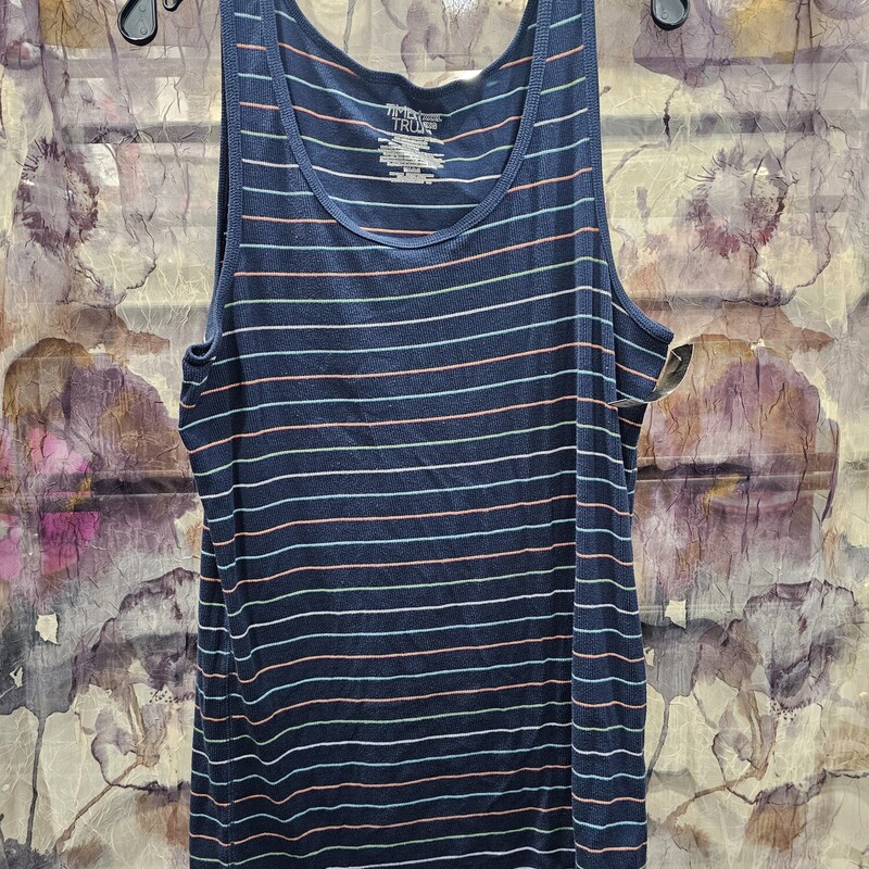 Blue tank top with multi colored stripes.