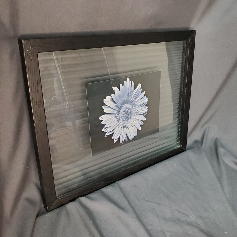 Daisy Print In Glass