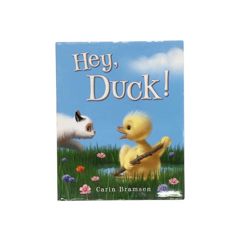 Hey Duck!