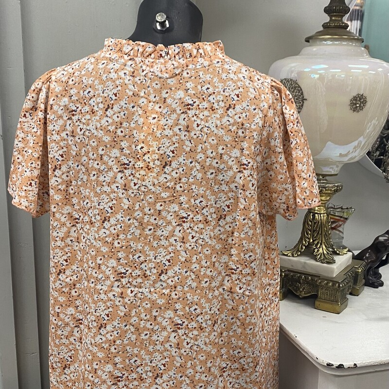 new with tags<br />
gorgeous peach with flowers througout<br />
flowy sleeve, v neck<br />
ruffle neck at the back<br />
loose fit<br />
<br />
Hailey And Co, Orange, Size: S