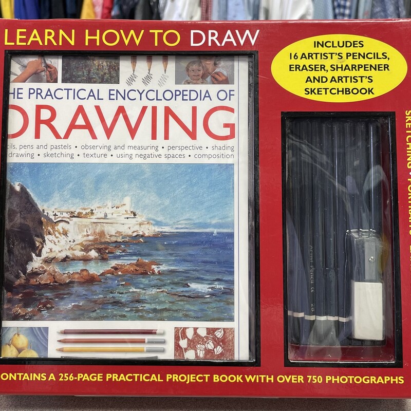 Learn How To Draw