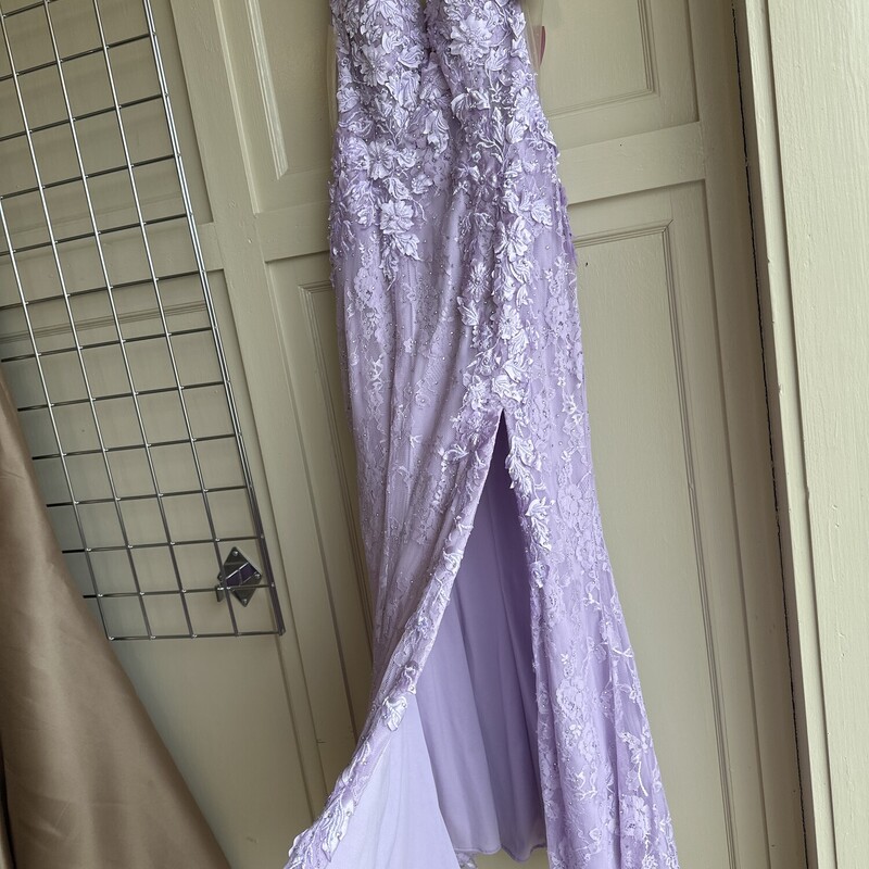 NWT Cinderella Devine FloralEmbellished , Lavender,
Dress has Been Shortened
 Size: FitsLike1/2
 Labeled Size 6
Beautiful  Dress for Prom or any Formal!
All Sales Are Final. No Returns.
Pick Up In Store Within 7 Days Of Purchase
Or
Have It Shipped

Thank You For Shopping With Us  :-)
