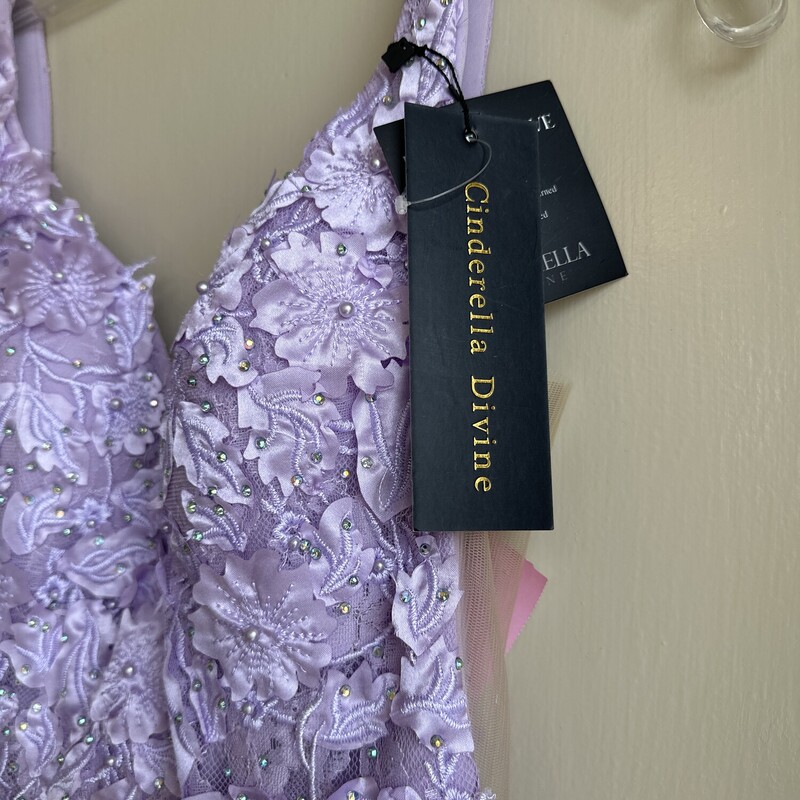 NWT Cinderella Devine FloralEmbellished , Lavender,
Dress has Been Shortened
 Size: FitsLike1/2
 Labeled Size 6
All Sale Are Final