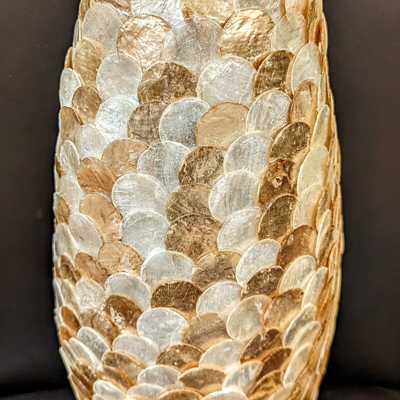 Capiz Scales Oval Vase
Cream White Iridescent Size: 7 x 16H