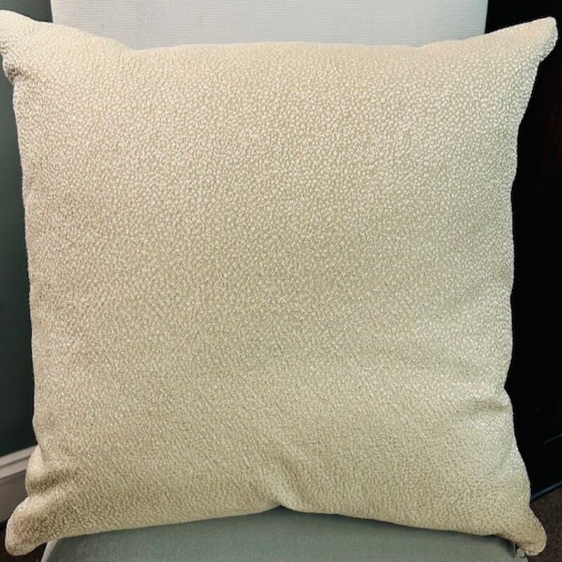 Scott Fitz Textured Pillow
Gold Cream Size: 20 x 20H