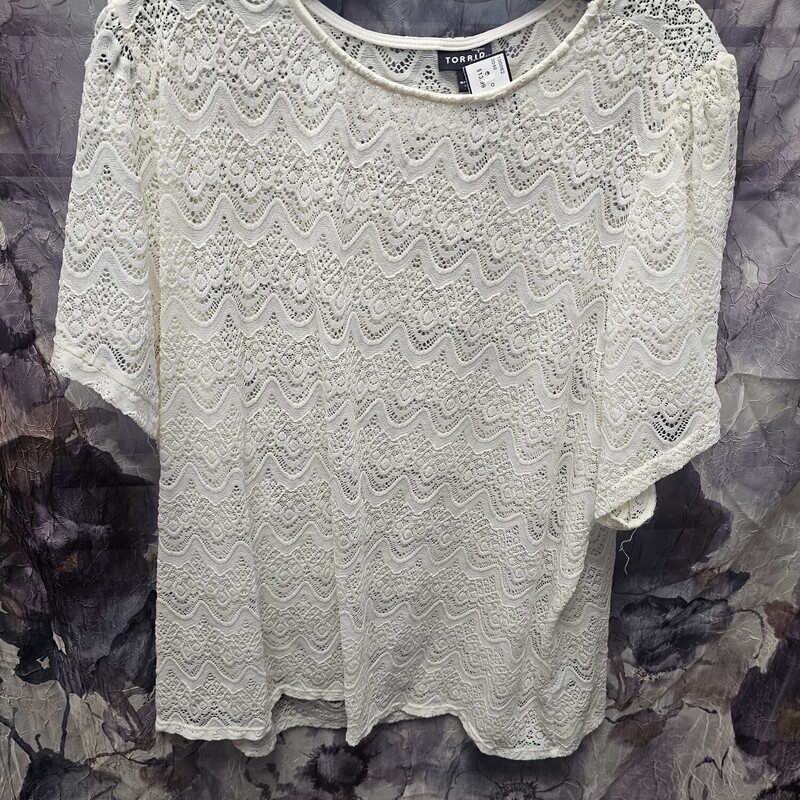 White short sleeve blouse that is all lace and sheer