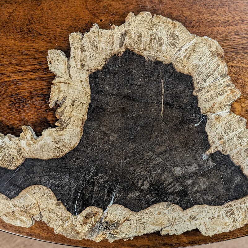 Petrified Wood Slab Cutting Board
Tan Brown Size: 10.5 x 16W