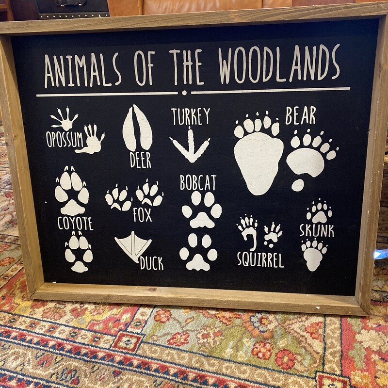 Animals Of The Woodlands