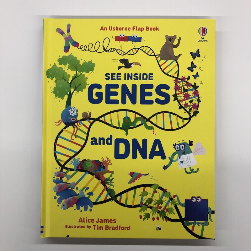 Genes And DNA, Size: Education, Item: NEW