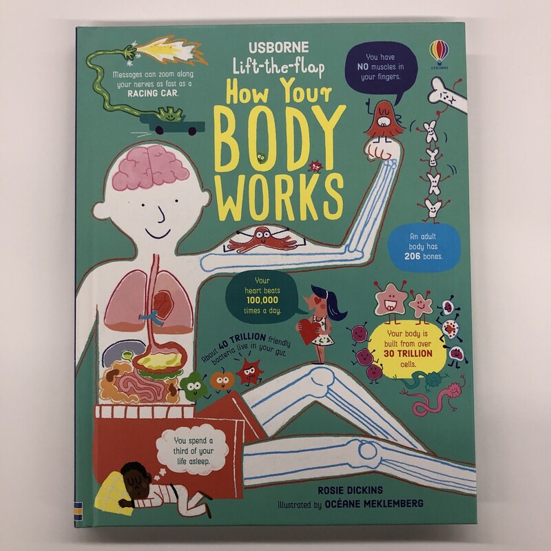 How Your Body Works, Size: Education, Item: NEW