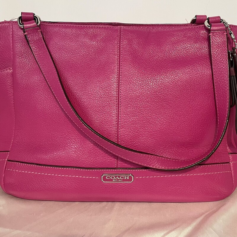Coach Leather Carrie