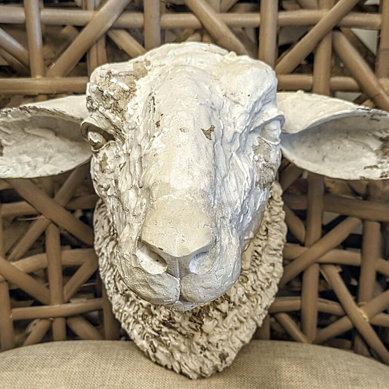 Distressed Sheep Head