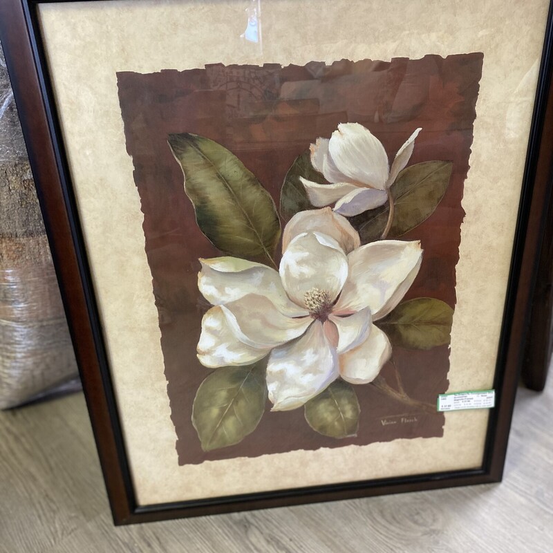 Magnolia Framed