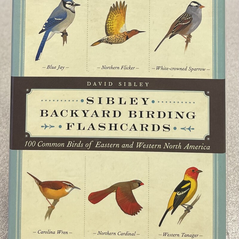 Backyard Birding Cards