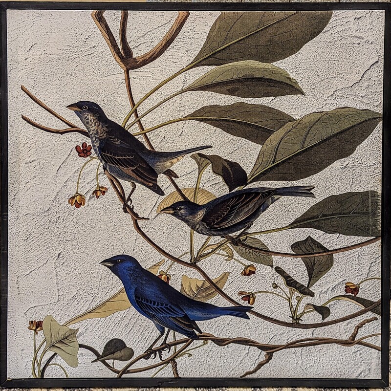 Framed Birds On Branch Canvas
White Green Blue Black Size: 25 x 25H