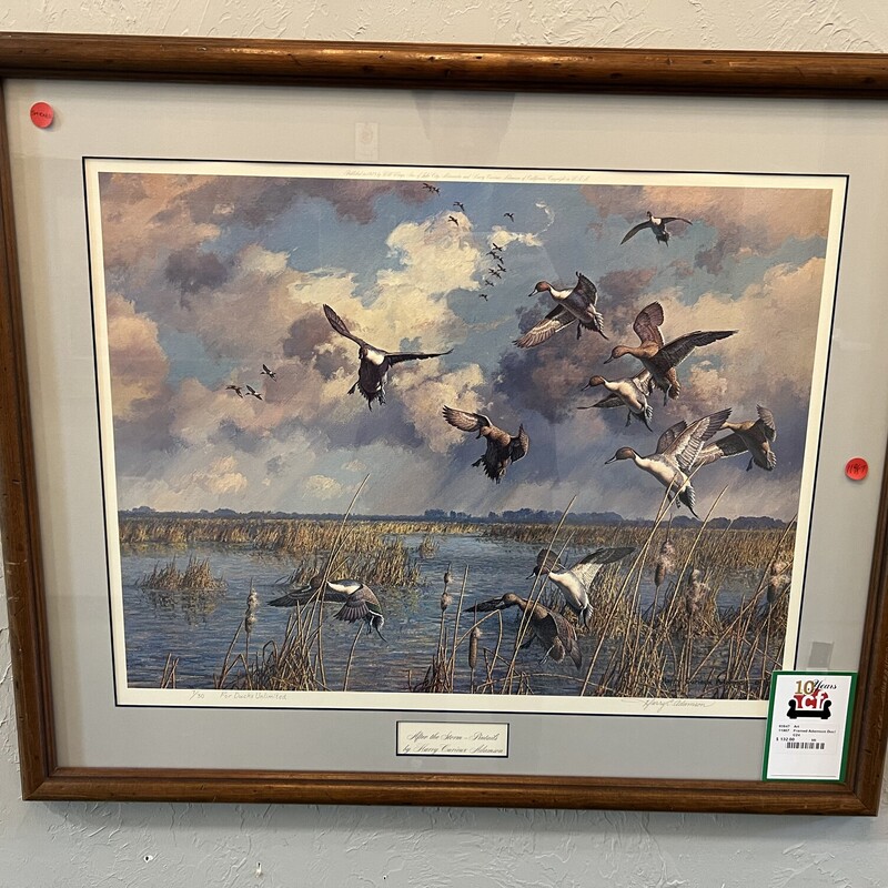Framed Adamson Duck Art