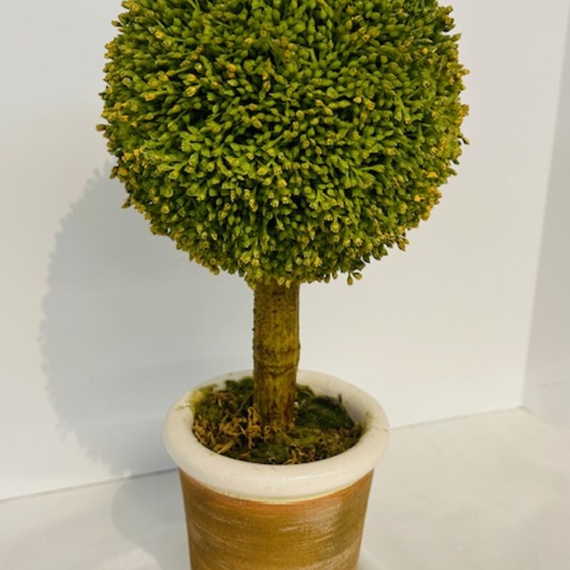 Round Topiary In Planter
Green Brown White
Size: 6 x 12.5H