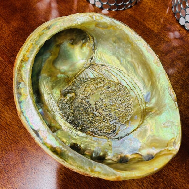 Abalone Shell Footed Bowl
Gold Red White Size: 8 x 3.5H