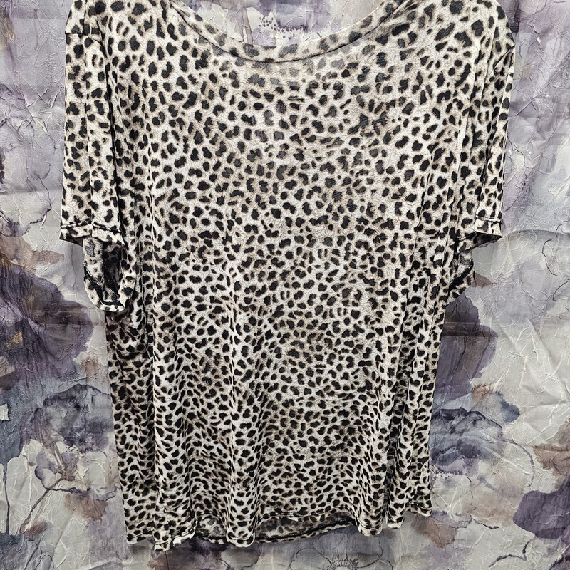 Short sleeve sheer top in brown and black leopard print.