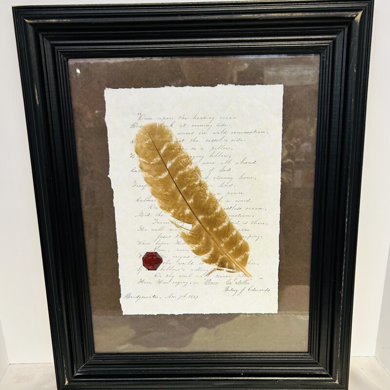 Feather On Parchment